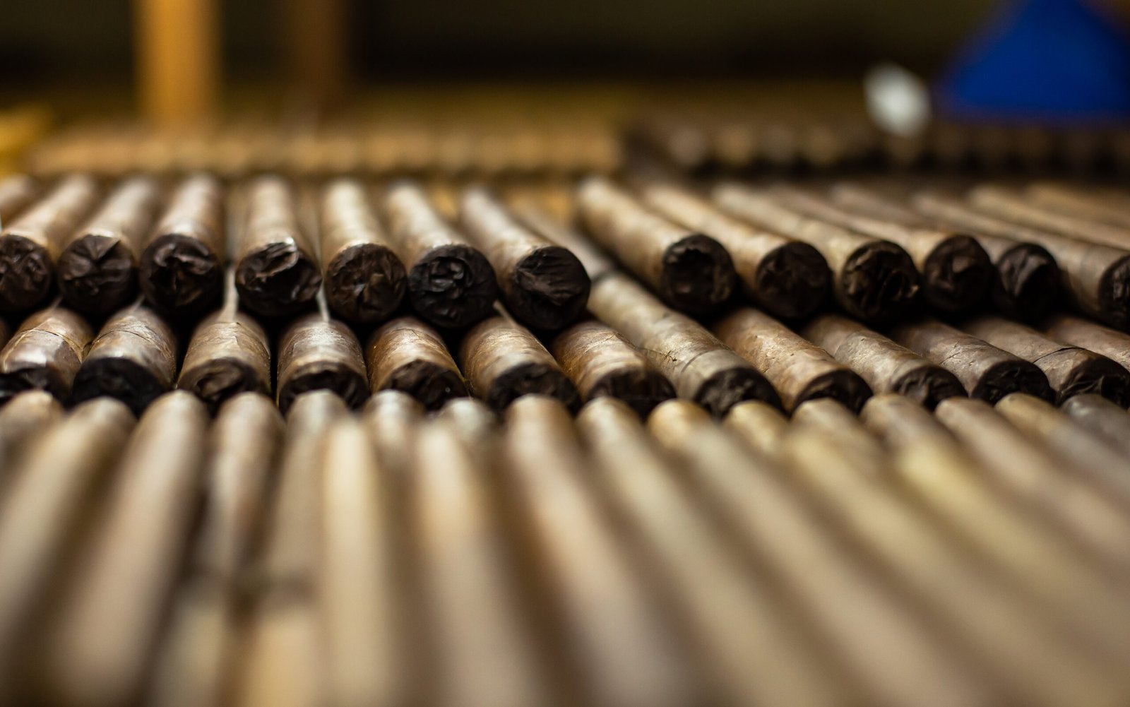 Exportacion Tabaco Regular