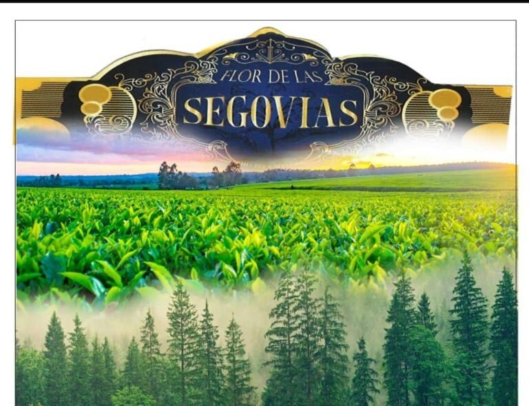 Flor de la segovia 01