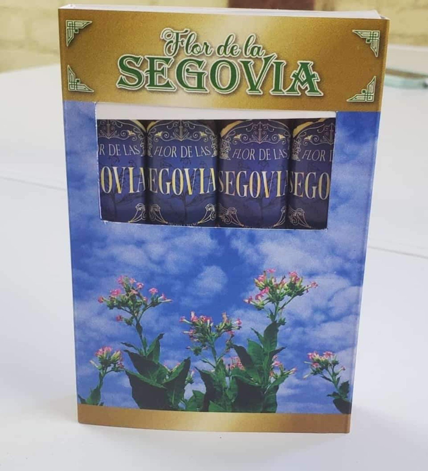 Flor de la segovia 05