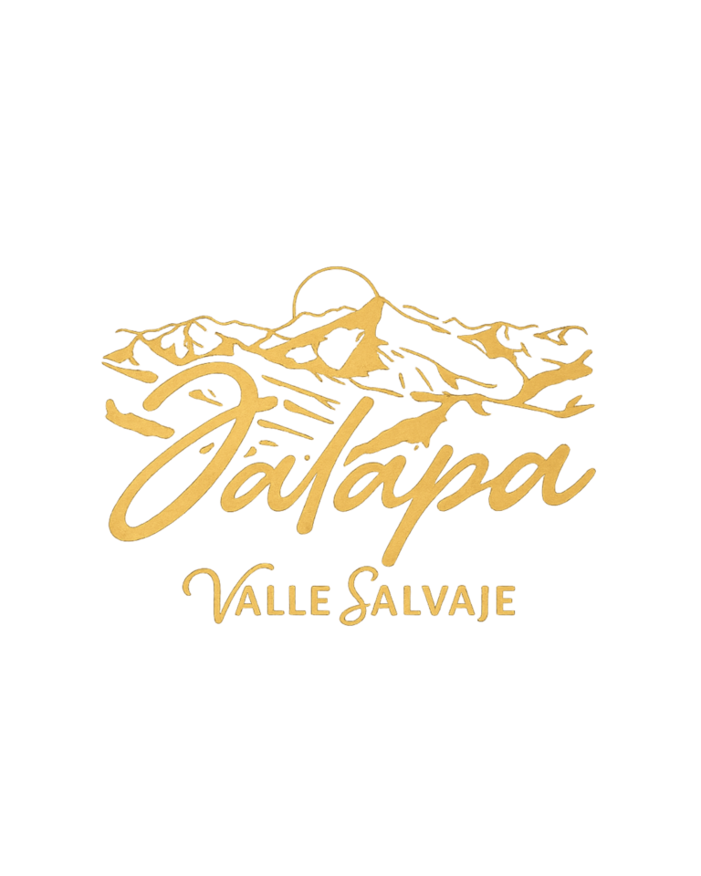 Portafolio de Marcas (Post de Instagram (45)) - 18